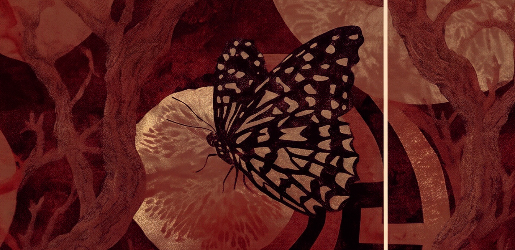 Wp external image mfSvVy